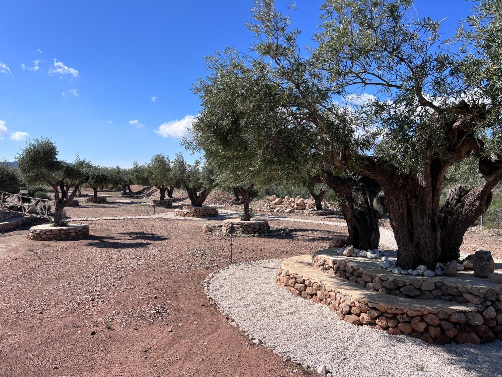 Casa Algezar Villa Hondón de las Nieves Eksteriør billede